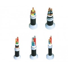 聚乙烯绝缘氯乙烯护套特软控制电缆Q(L)XL311-2009