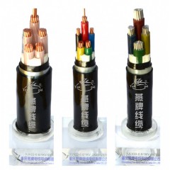 YJV22-3×25+2×16铜芯铠装电力电缆