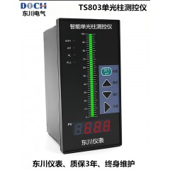 WP-TS803智能光柱显示仪 液位显示仪