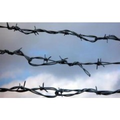 铁刺网