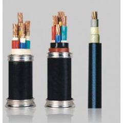 0.6-1kV聚氯乙烯绝缘电力电缆