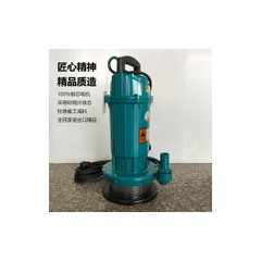 小型潜水泵不锈电动抽水泵