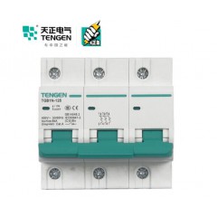 天正电气（TENGEN）空气开关 3P C 63A 6kA 01060280029 TGB1N-125 微型断路器