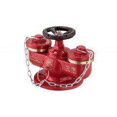 多用式消防水泵接合器 SQD100-1.6A
