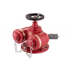 多用式消防水泵接合器 SQD100-1.6