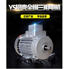 上海德东电机YS120W铝壳电机小功率电动机微型马达微型电机380V