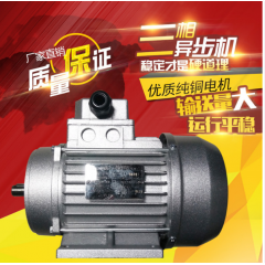 上海德东三相电动机 YS8024 750W 四级1400转铝壳异步电机