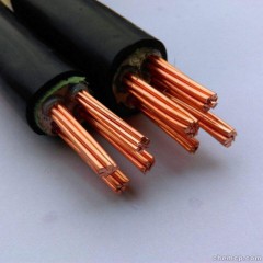 电缆djyvp2-22