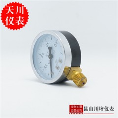 上海天川仪表 普通Y-60气,水压力表