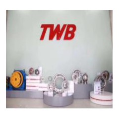 TWB轴承系列06