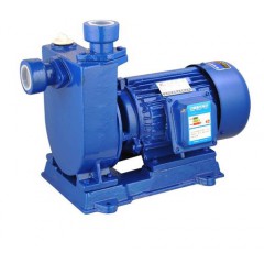 大福750w2寸家用水泵深井抽水泵抽水机高扬程潜水泵