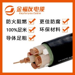 金福友电缆 bvr2.5平方国标铜芯 家装工程照明电线