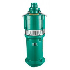 新界 Q(D)型干式潜水电泵02