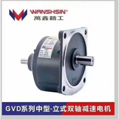 GVD系列中型-立式双轴减速电机