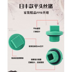 日丰款平头丝堵
